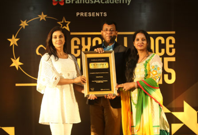 Best Web Design Company Award